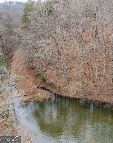 161 Headwaters Court LOT 161, Cleveland, GA 30528