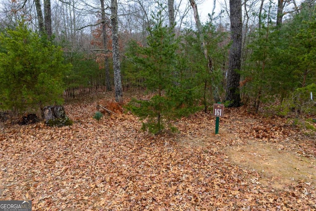 161 Headwaters Court LOT 161, Cleveland, GA 30528