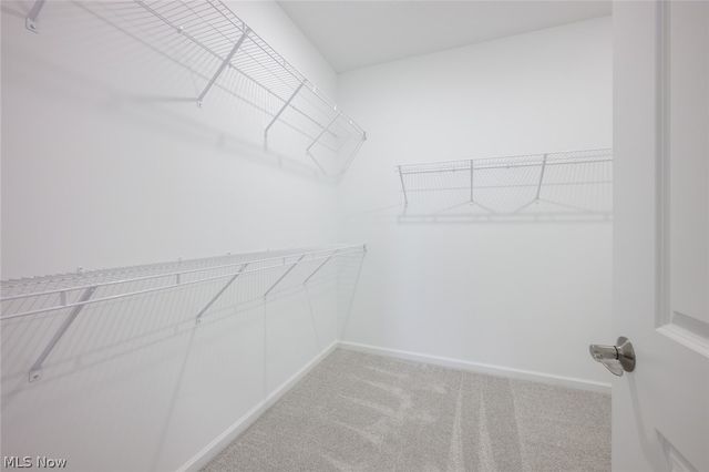 23724 Wally's Way, Columbia Station, OH 44028