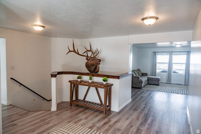 1069 E 150 ST, Santaquin, UT 84655