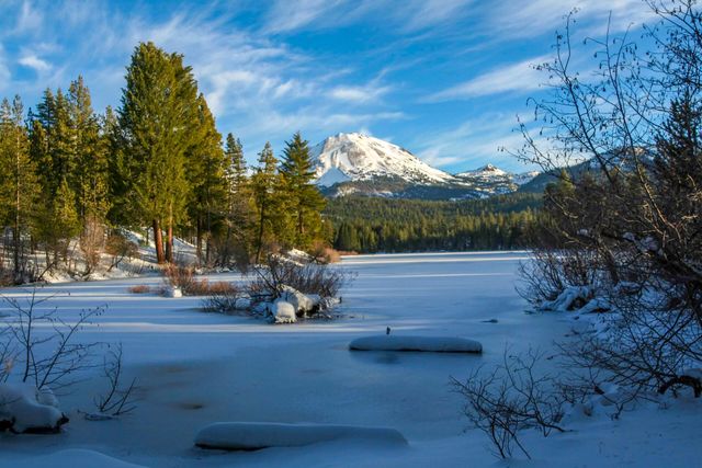 35267 Nehemiah Drive, Shingletown, CA 96088