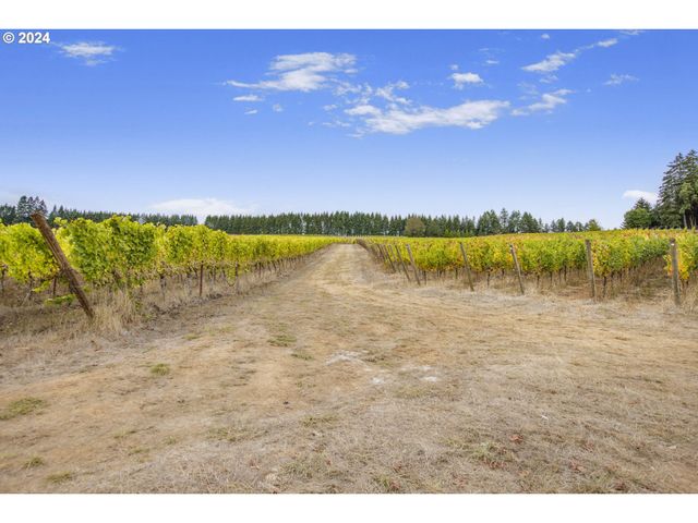 25219 HIGH PASS Rd, Junction City, OR 97448