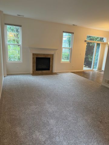 4917 Montauk Drive 4917, Plainfield, IL 60586