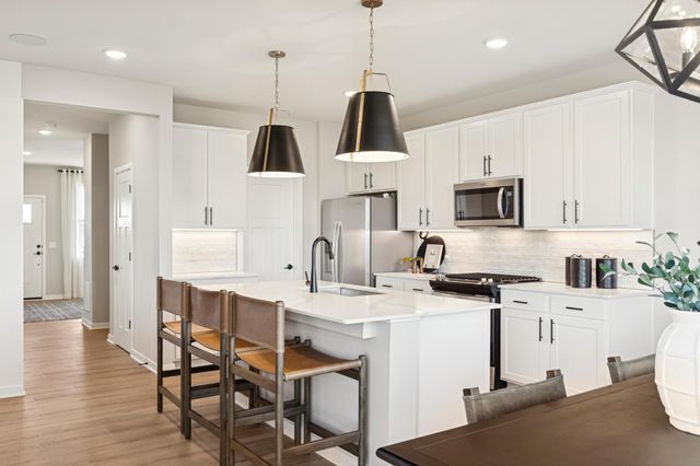 15031 Askeaton Place, Rosemount, MN 55068