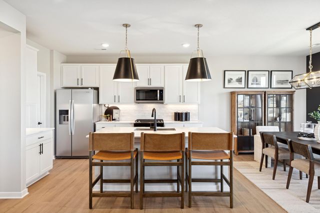 15031 Askeaton Place, Rosemount, MN 55068