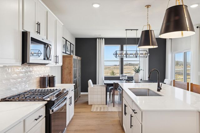 15031 Askeaton Place, Rosemount, MN 55068