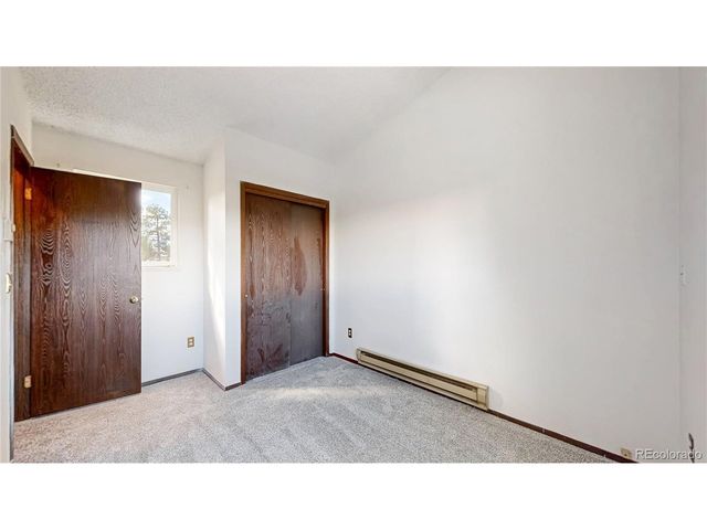 195 Doe Cir, Bailey, CO 80421