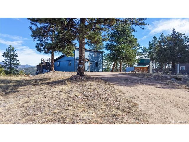 195 Doe Cir, Bailey, CO 80421