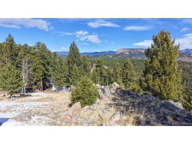 195 Doe Cir, Bailey, CO 80421
