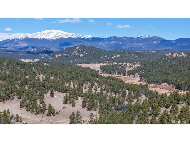 195 Doe Cir, Bailey, CO 80421