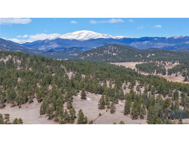 195 Doe Cir, Bailey, CO 80421