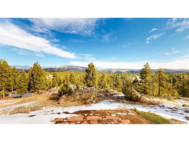 195 Doe Cir, Bailey, CO 80421