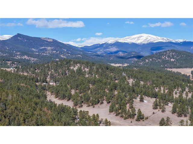 195 Doe Cir, Bailey, CO 80421