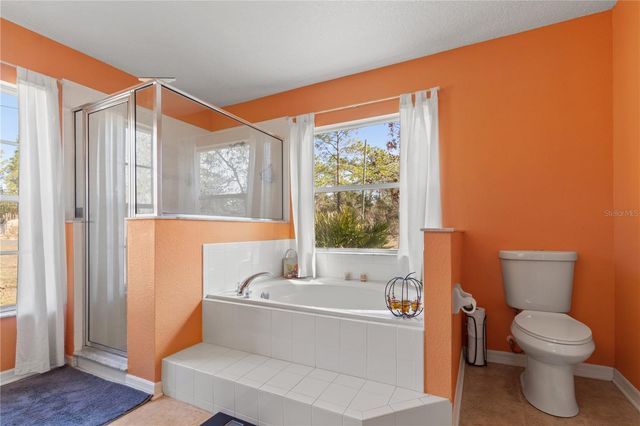 4239 W DORCHESTER CIRCLE, Dunnellon, FL 34433