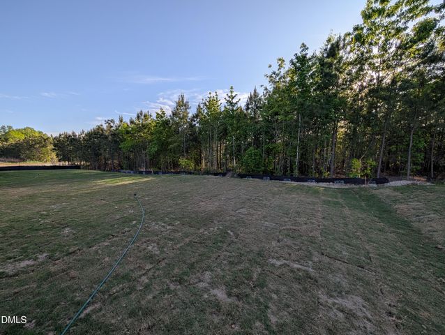 909 Diana Victoria Court, Wendell, NC 27591