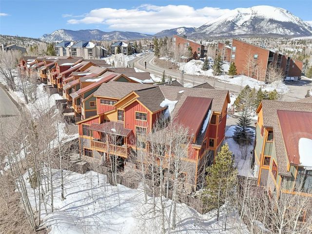 50 COUNTY ROAD 1293 50B, Silverthorne, CO 80498