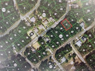 8595 N Spartan Drive, Citrus Springs, FL 34433
