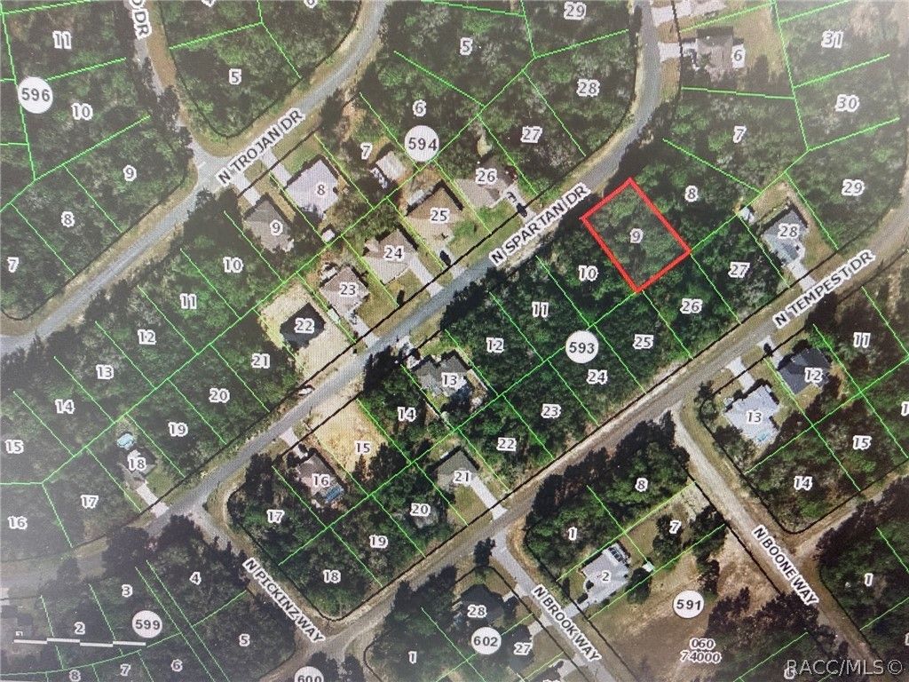 8595 N Spartan Drive, Citrus Springs, FL 34433