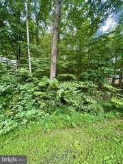 LOT 385 & 957 N LAKESHORE DR, Louisa, VA 23093
