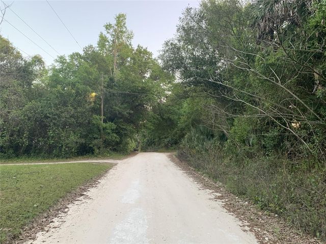 18111 N US HWY 301, Citra, FL 32113
