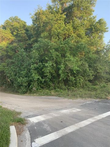18111 N US HWY 301, Citra, FL 32113