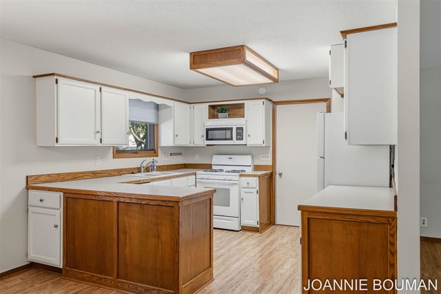 1323 Floral Street, Holland, MI 49423