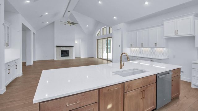 1159 Basset Hound Drive, Montgomery, TX 77316