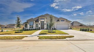 1159 Basset Hound Drive, Montgomery, TX 77316