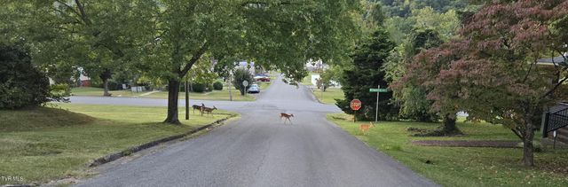 113 West 2nd Street, Big Stone Gap, VA 24219