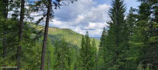 NNA Pup Paw Trail South, Priest River, ID 83856