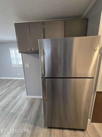 3100 Rocky Branch Rd, Rutledge, TN 37861