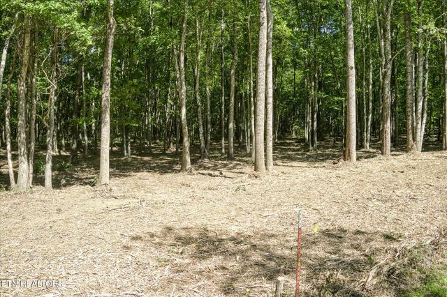 1169 Terry Lane, Jamestown, TN 38556