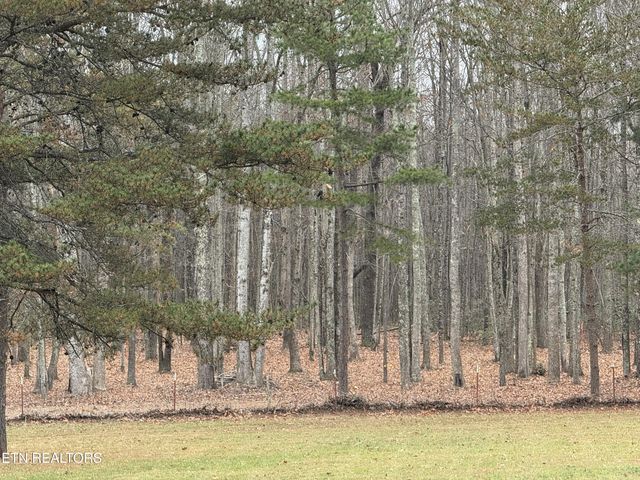 1169 Terry Lane, Jamestown, TN 38556