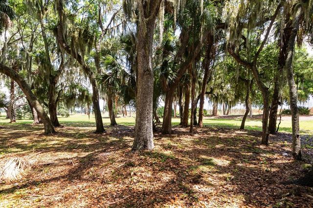 TBD DEER ISLAND ROAD, Tavares, FL 32778
