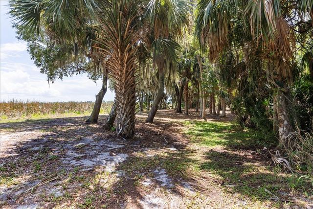 TBD DEER ISLAND ROAD, Tavares, FL 32778