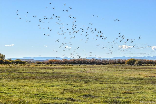 0 County Road 15.5, Blanca, CO 81123