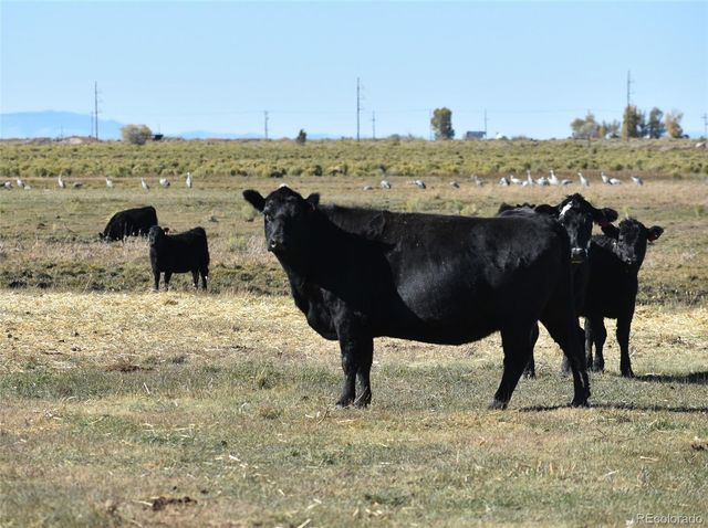 0 County Road 15.5, Blanca, CO 81123