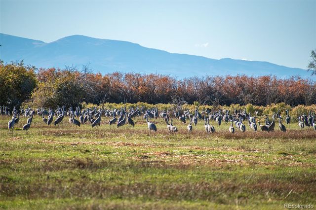 0 County Road 15.5, Blanca, CO 81123