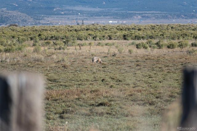 0 County Road 15.5, Blanca, CO 81123