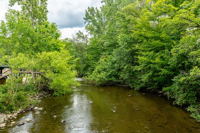 1213 Island Drive 101, Ann Arbor, MI 48105