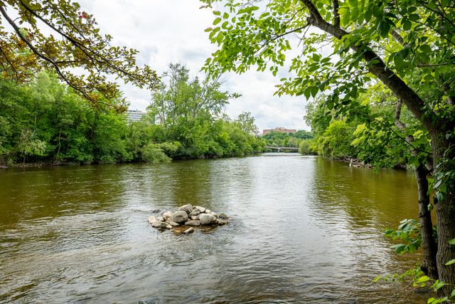 1213 Island Drive 101, Ann Arbor, MI 48105