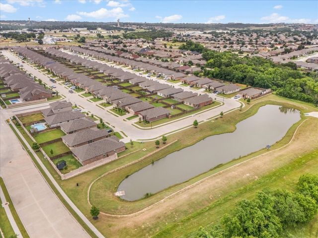 2405 Briscoe Ranch Drive, Weatherford, TX 76087