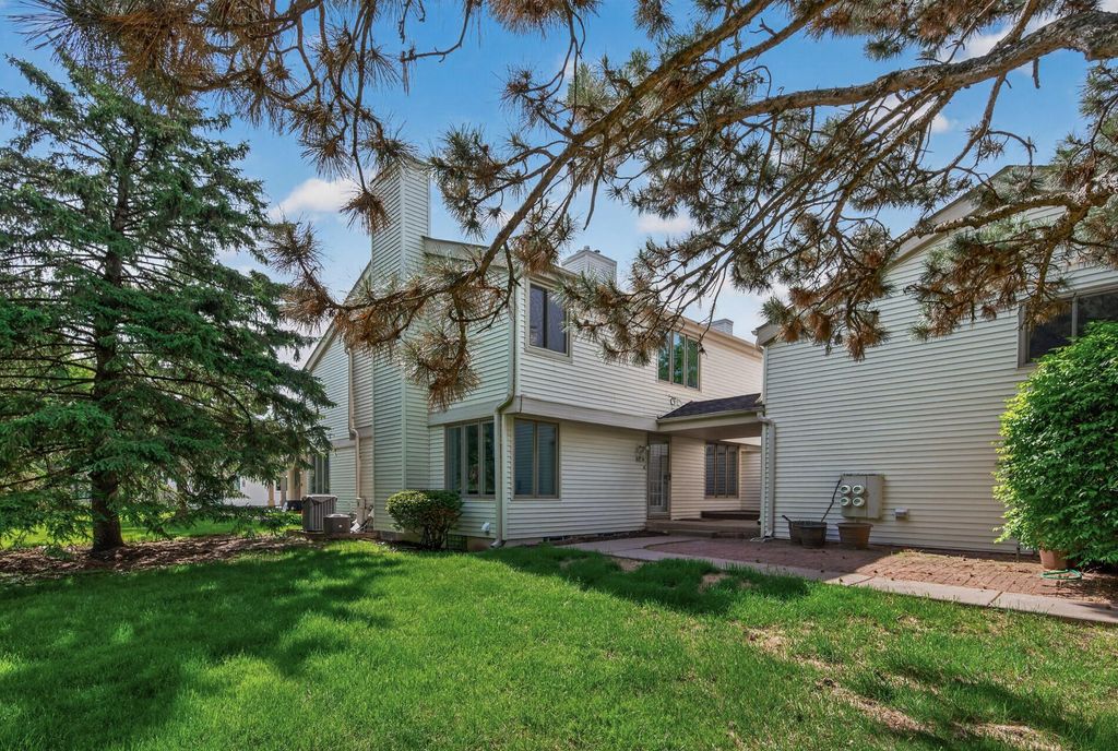 313 Elan Court, Woodbury, MN 55125 — photo 4