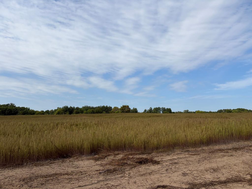 TBD (L3-SM East) Yellowpine Court NW, Isanti, MN 55040 — exterior