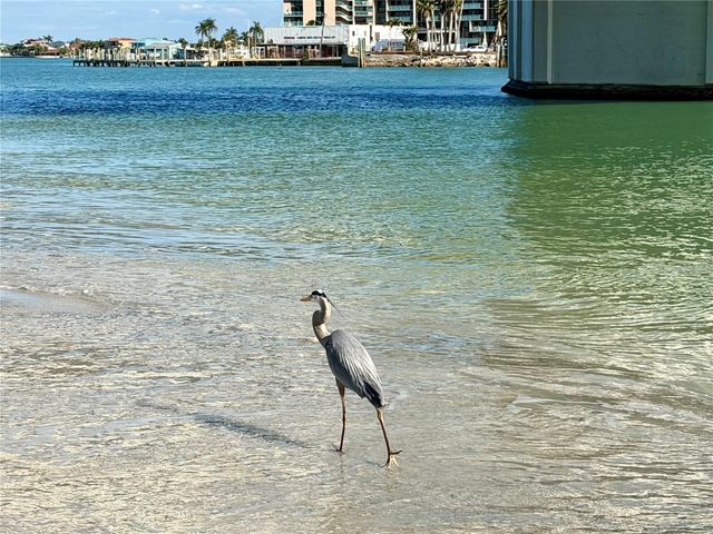 200 140TH AVENUE E W, Madeira Beach, FL 33708