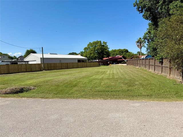 395 Governor Hogg Drive, Point Blank, TX 77364