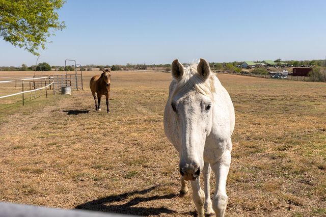 13639 Abrahamson RD, Manor, TX 78653