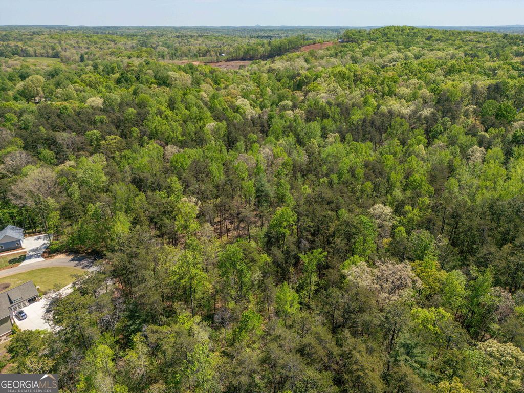 0 Red June Lane LOT 1318 & 1319, Clarkesville, GA 30523 — photo 3