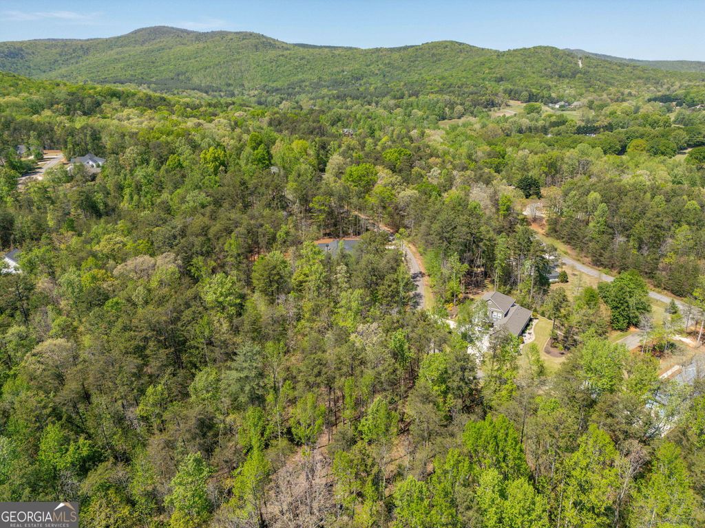 0 Red June Lane LOT 1318 & 1319, Clarkesville, GA 30523 — photo 5