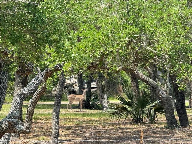 1431 W 12th St, Rockport, TX 78382
